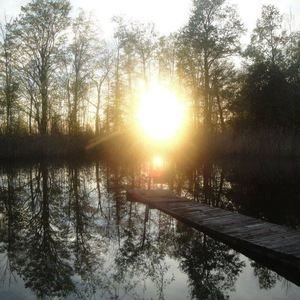 Meet your Posher, Denise